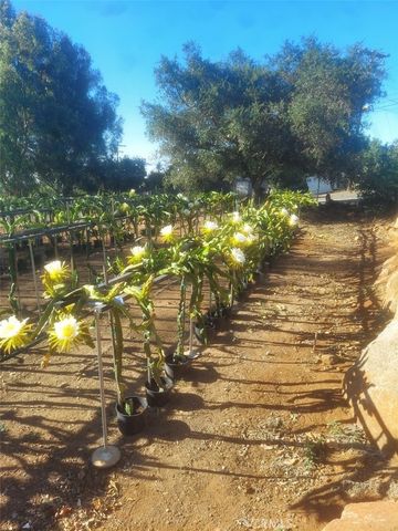 1996 Rainbow Glen Road, Fallbrook, CA 92028
