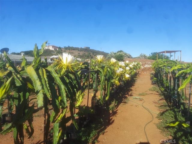 1996 Rainbow Glen Road, Fallbrook, CA 92028