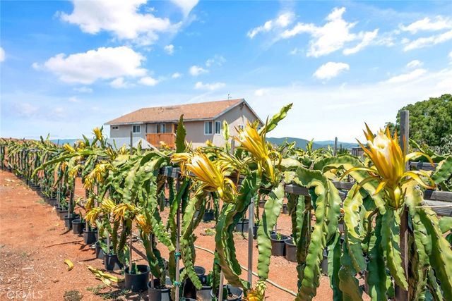 1996 Rainbow Glen Road, Fallbrook, CA 92028