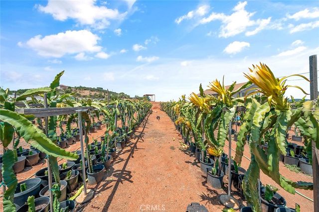 1996 Rainbow Glen Road, Fallbrook, CA 92028