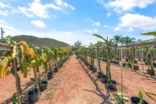 1996 Rainbow Glen Road, Fallbrook, CA 92028