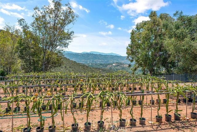 1996 Rainbow Glen Road, Fallbrook, CA 92028