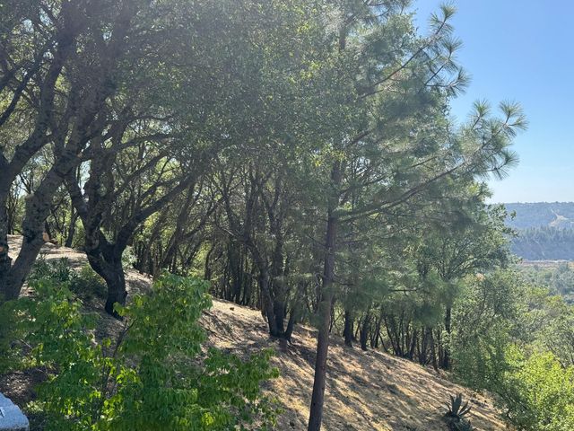 2418 Westville Trl, Cool, CA 95614