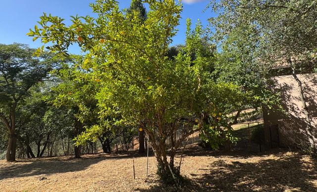 2418 Westville Trl, Cool, CA 95614