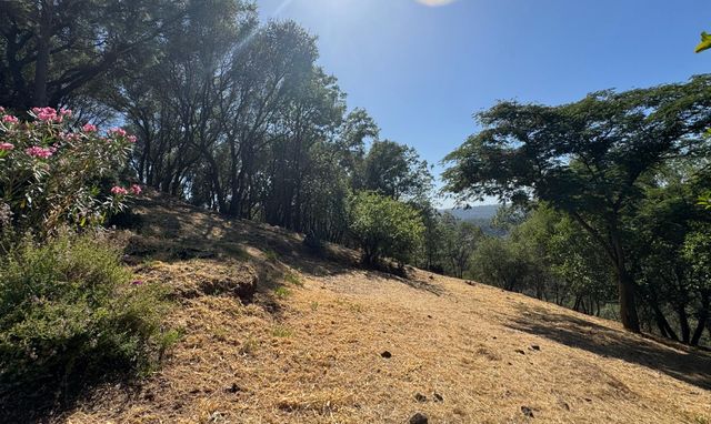 2418 Westville Trl, Cool, CA 95614