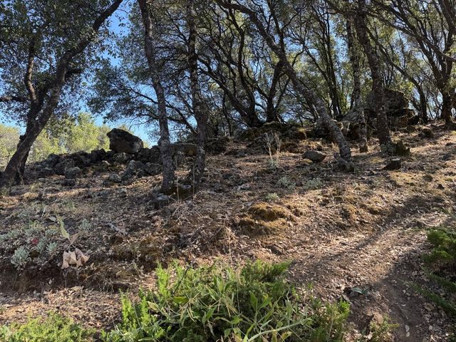 2418 Westville Trl, Cool, CA 95614