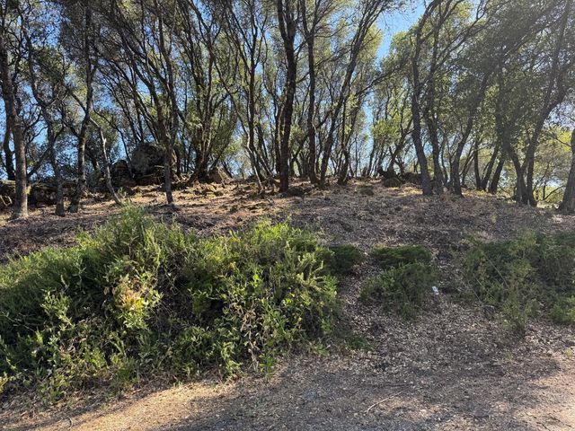 2418 Westville Trl, Cool, CA 95614