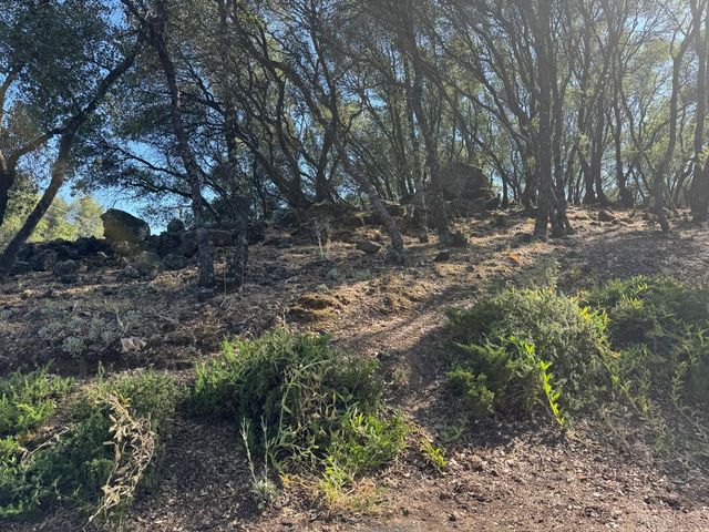 2418 Westville Trl, Cool, CA 95614