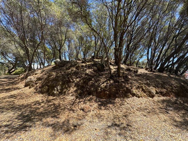 2418 Westville Trl, Cool, CA 95614