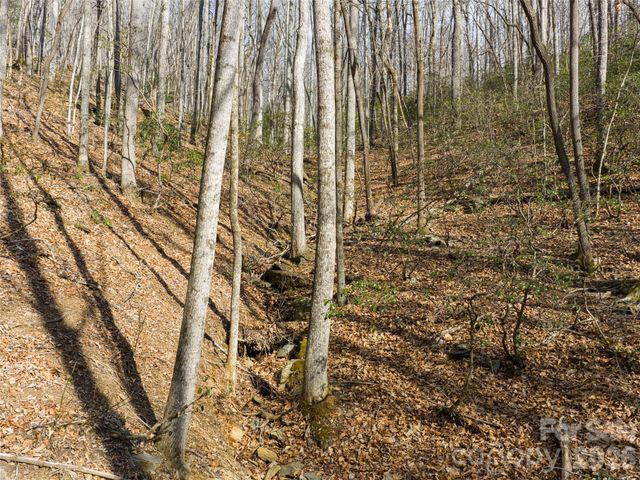 40 Cedar Drive, Mills River, NC 28759