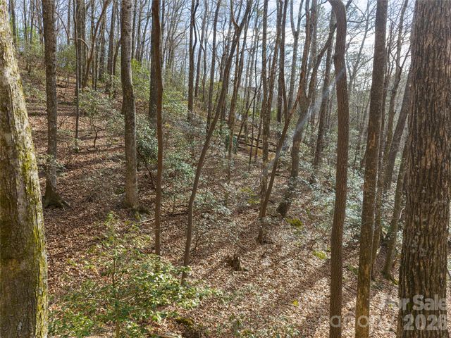 40 Cedar Drive, Mills River, NC 28759