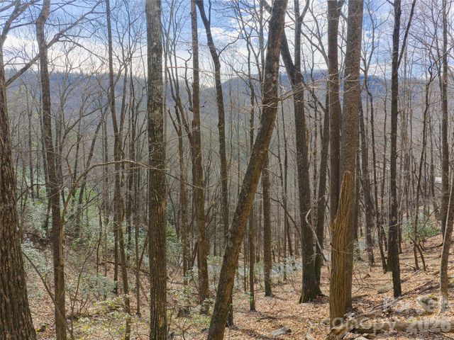 40 Cedar Drive, Mills River, NC 28759