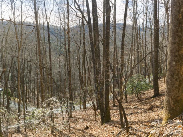 40 Cedar Drive, Mills River, NC 28759