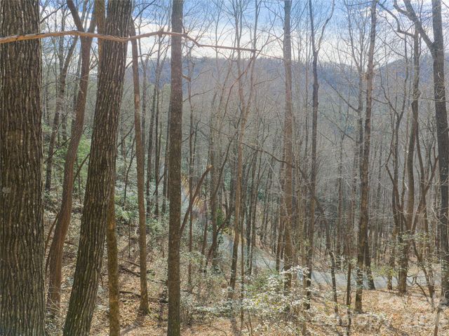 40 Cedar Drive, Mills River, NC 28759