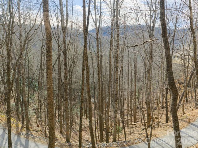 40 Cedar Drive, Mills River, NC 28759