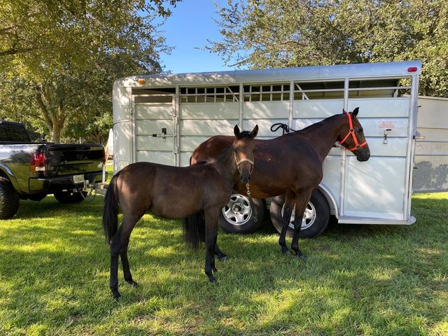 1184 LAURA STREET, Casselberry, FL 32707