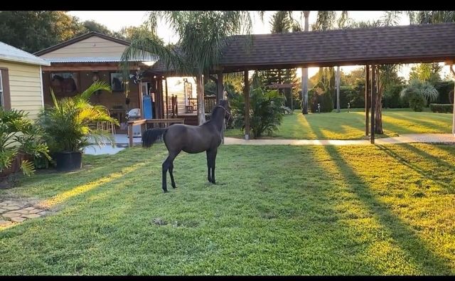 1184 LAURA STREET, Casselberry, FL 32707