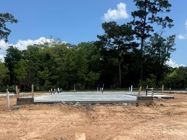 20847 Wildbird Cherry Street, Porter, TX 77365