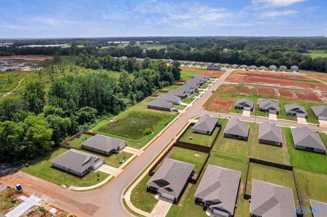 15271 Lapwing Cove, Athens, AL 35611