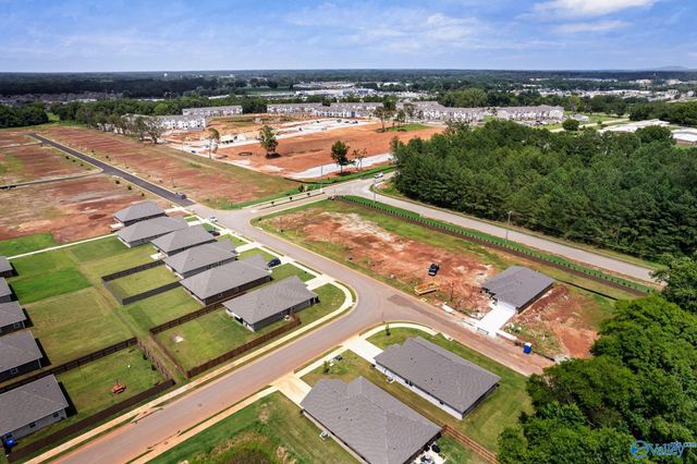 15271 Lapwing Cove, Athens, AL 35611