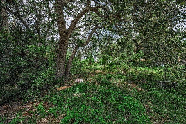Lot 15 RICE ROAD, Hudson, FL 34667