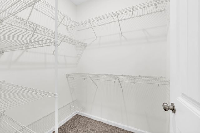 1123 Mourning Cloak Dr, Clarksville, TN 37043