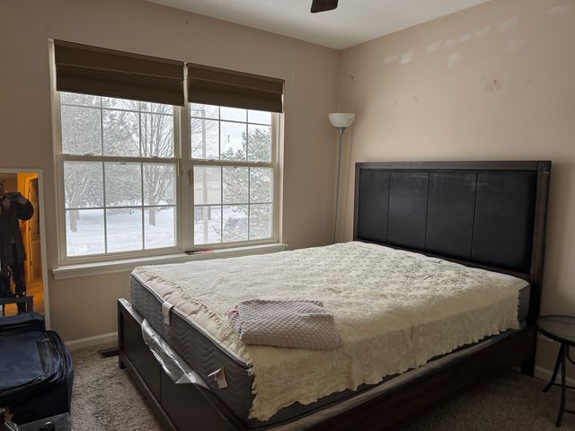 3281 Cool Springs Court, Naperville, IL 60564