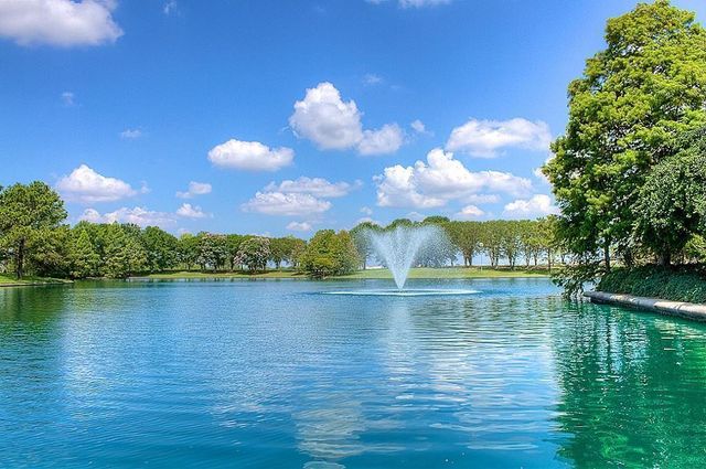 14822 Yellow Begonia Drive, Cypress, TX 77433