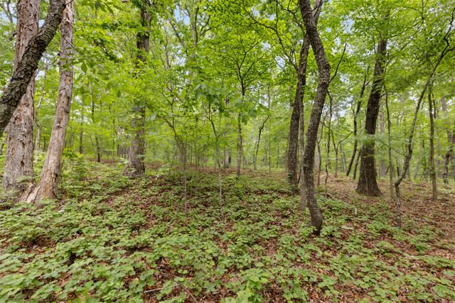 0 Old Number One Rd, Dickson, TN 37055