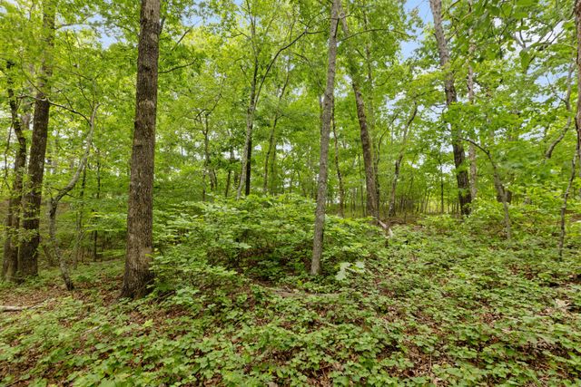 0 Old Number One Rd, Dickson, TN 37055