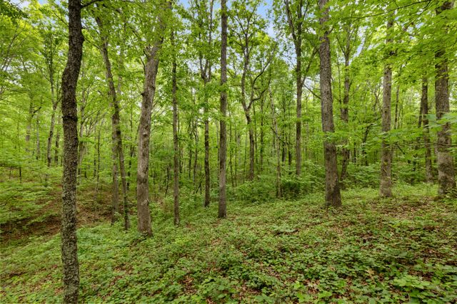 0 Old Number One Rd, Dickson, TN 37055