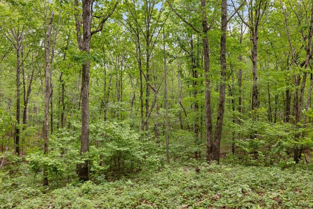 0 Old Number One Rd, Dickson, TN 37055