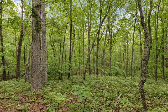 0 Old Number One Rd, Dickson, TN 37055