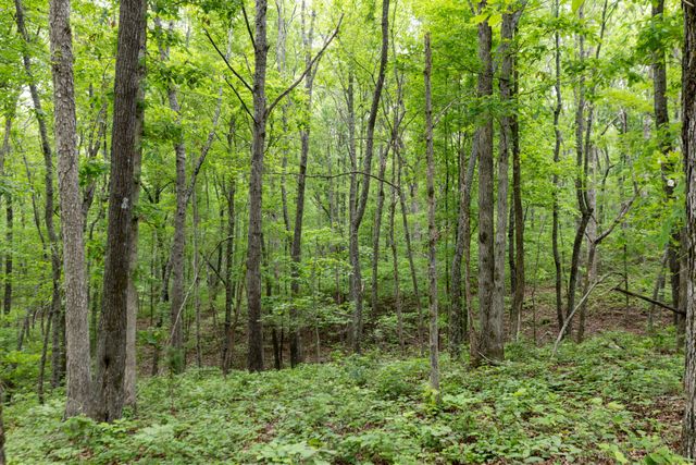 0 Old Number One Rd, Dickson, TN 37055