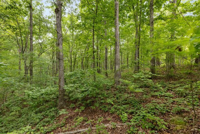 0 Old Number One Rd, Dickson, TN 37055