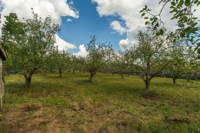 300 Partners Drive, Seymour, MO 65746