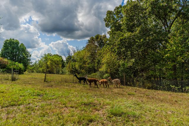 300 Partners Drive, Seymour, MO 65746