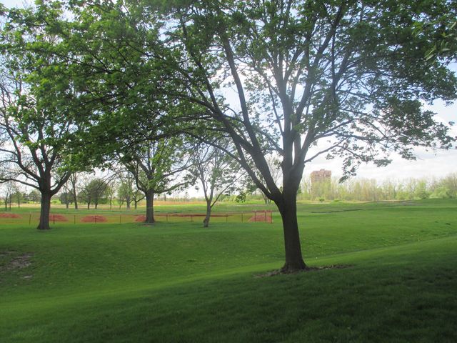 544 ELIZABETH Drive 544, Wood Dale, IL 60191