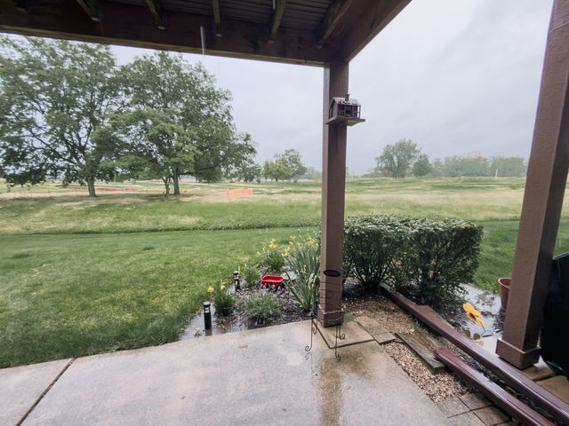 544 ELIZABETH Drive 544, Wood Dale, IL 60191