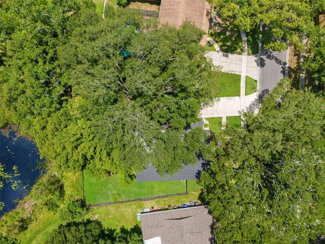 15521 WETSTONE DRIVE, Tampa, FL 33613