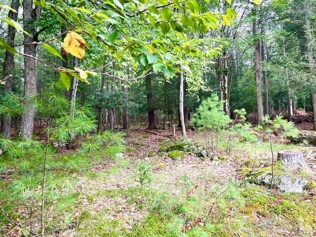 250 County Road 21, Barryville, NY 12719