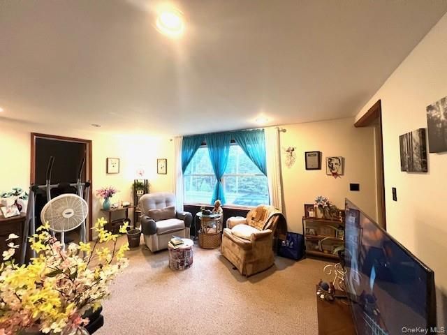 250 County Road 21, Barryville, NY 12719