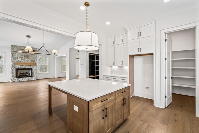 3981 Kathie Dr, Thompsons Station, TN 37179