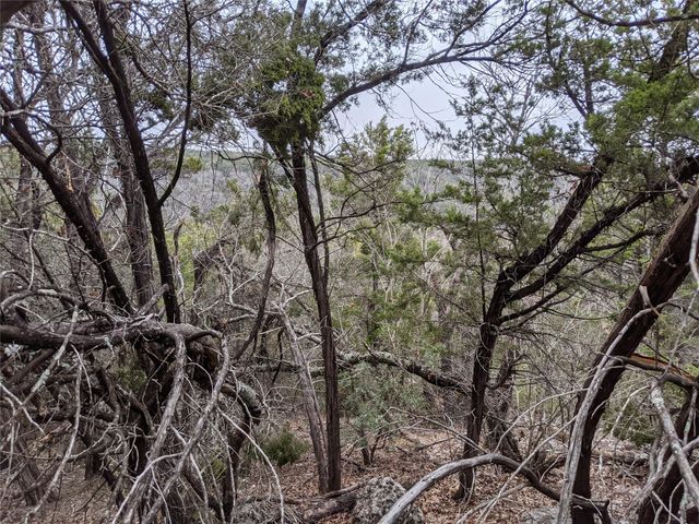 20702 Ramrod TRL, Lago Vista, TX 78645