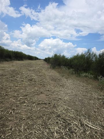 36847 Richard Frey 1-7 Road, Hempstead, TX 77445