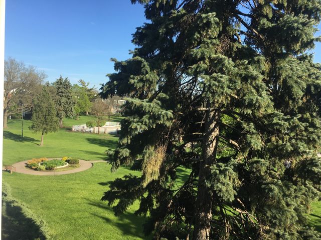 5000 Carriageway Drive 315, Rolling Meadows, IL 60008