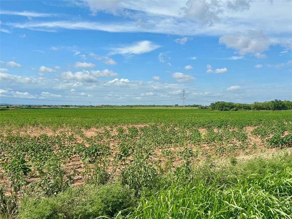 TBD County Road 409, Merkel, TX 79536