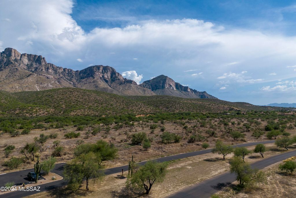 Image 13 of property listing at 15282 N Desert Lilac Lane, Tucson, AZ 85739