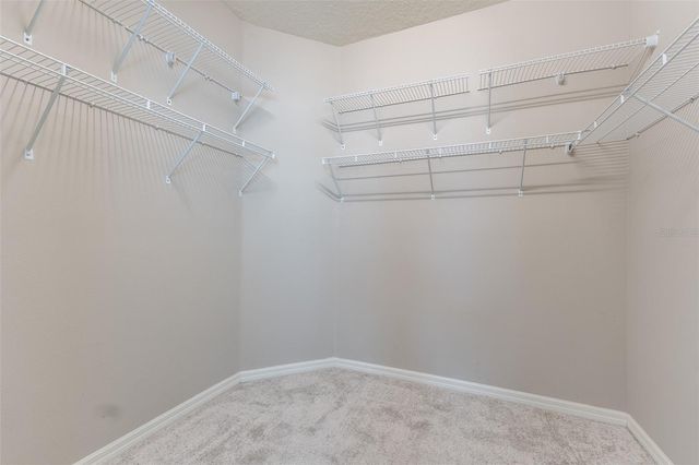 10514 MEDFORD LAKE DRIVE, Riverview, FL 33578
