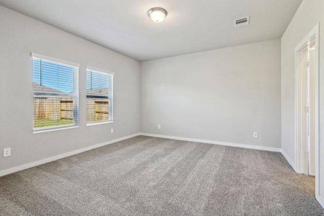 17427 Butterfly Orchid Lane, Waller, TX 77484